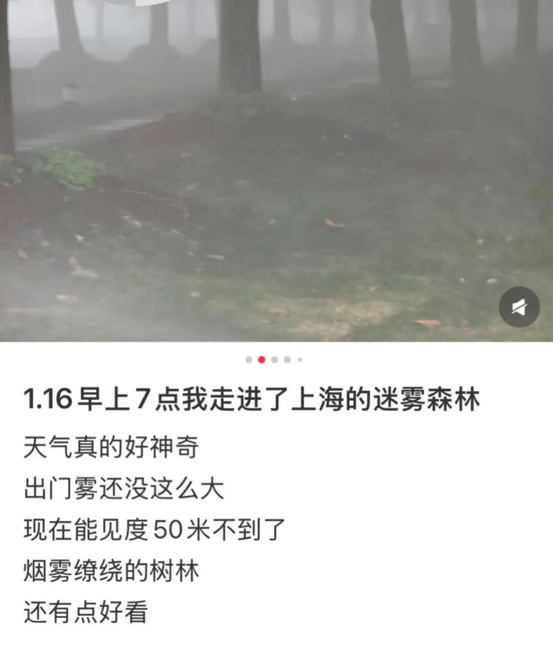 上海：入冬以来最强雨雪冰冻将袭！网友：没见过这么大雾，路口竟看不到红绿灯！